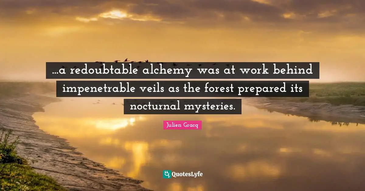 ...a redoubtable alchemy was at work behind impenetrable veils as the forest prepared its nocturnal mysteries.