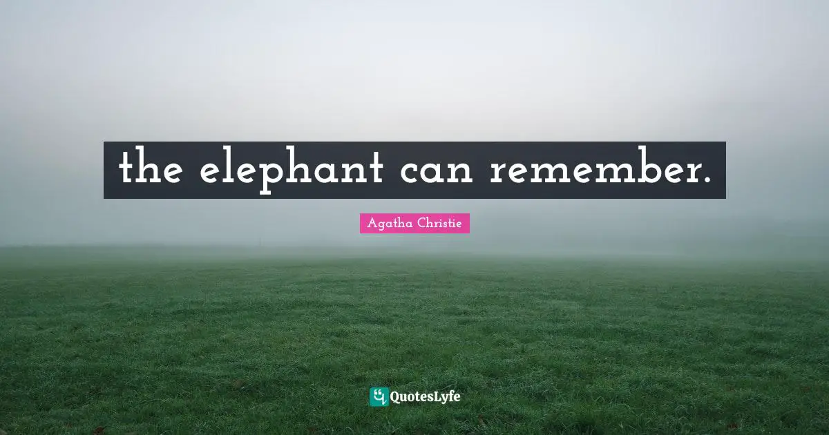 the elephant can remember.