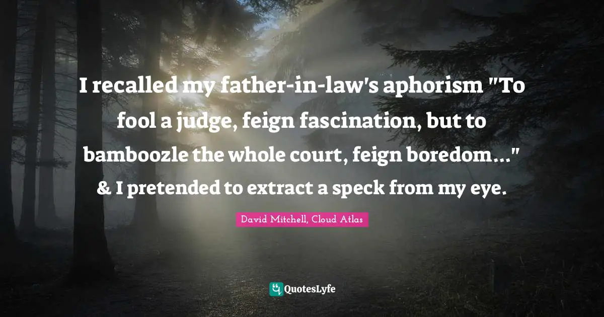 I recalled my father-in-law's aphorism "To fool a judge, feign fascination, but to bamboozle the whole court, feign boredom..." & I pretended to extract a speck from my eye.