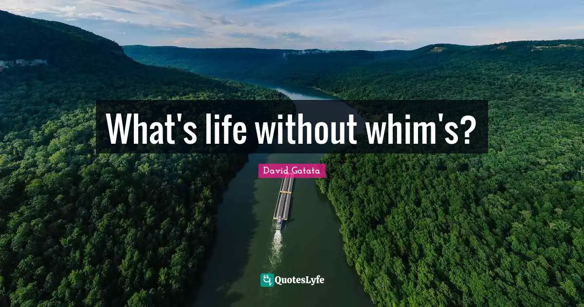 What's life without whim's?