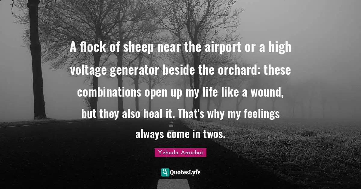 Yehuda Amichai Quotes: "A flock of sheep near the airport or a high voltage generator beside the orchard: these combinations open up my life like a wound, but they also heal it. That's why my feelings always come in twos."