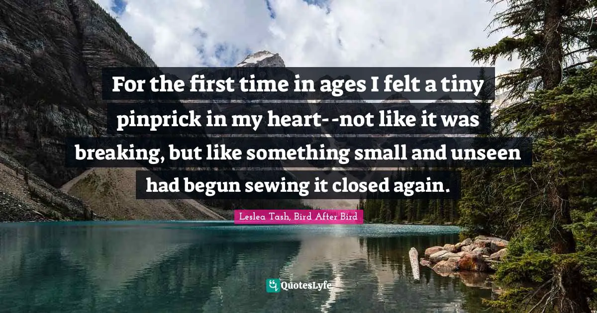 For the first time in ages I felt a tiny pinprick in my heart--not like it was breaking, but like something small and unseen had begun sewing it closed again.