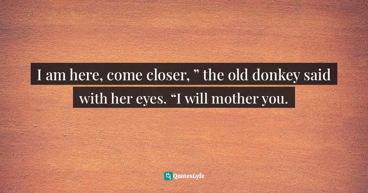 I am here, come closer, ” the old donkey said with her eyes. “I will mother you.