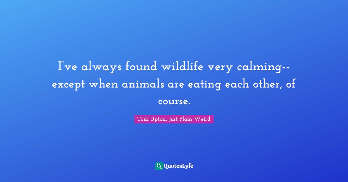 I’ve always found wildlife very calming-- except when animals are eating each other, of course.