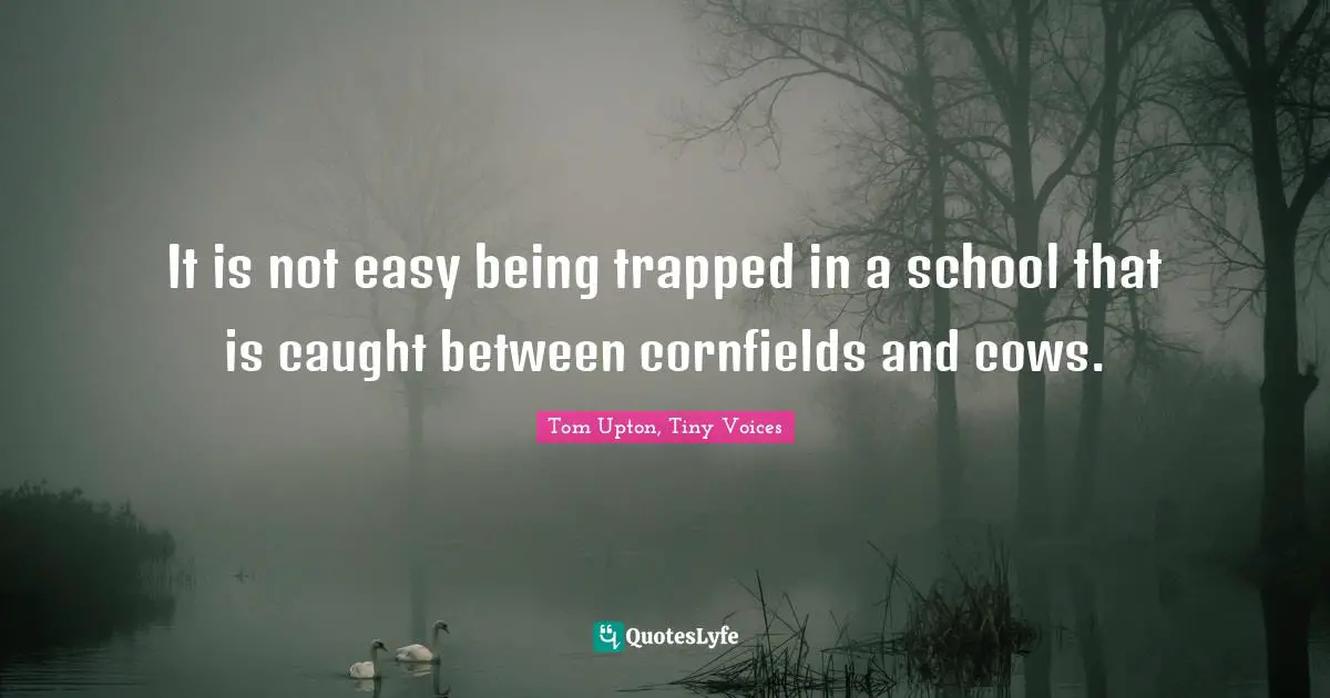 It is not easy being trapped in a school that is caught between cornfields and cows.