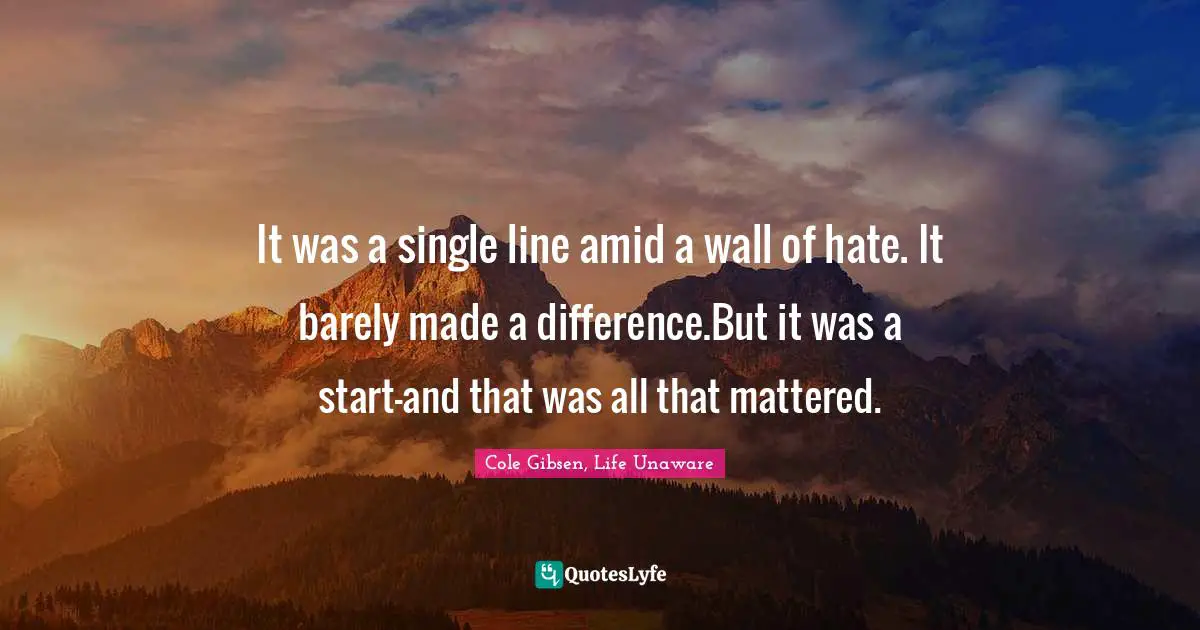 It was a single line amid a wall of hate. It barely made a difference.But it was a start—and that was all that mattered.