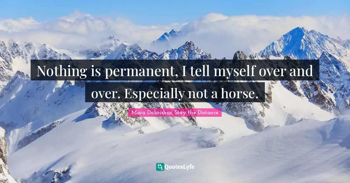 Nothing is permanent, I tell myself over and over. Especially not a horse.