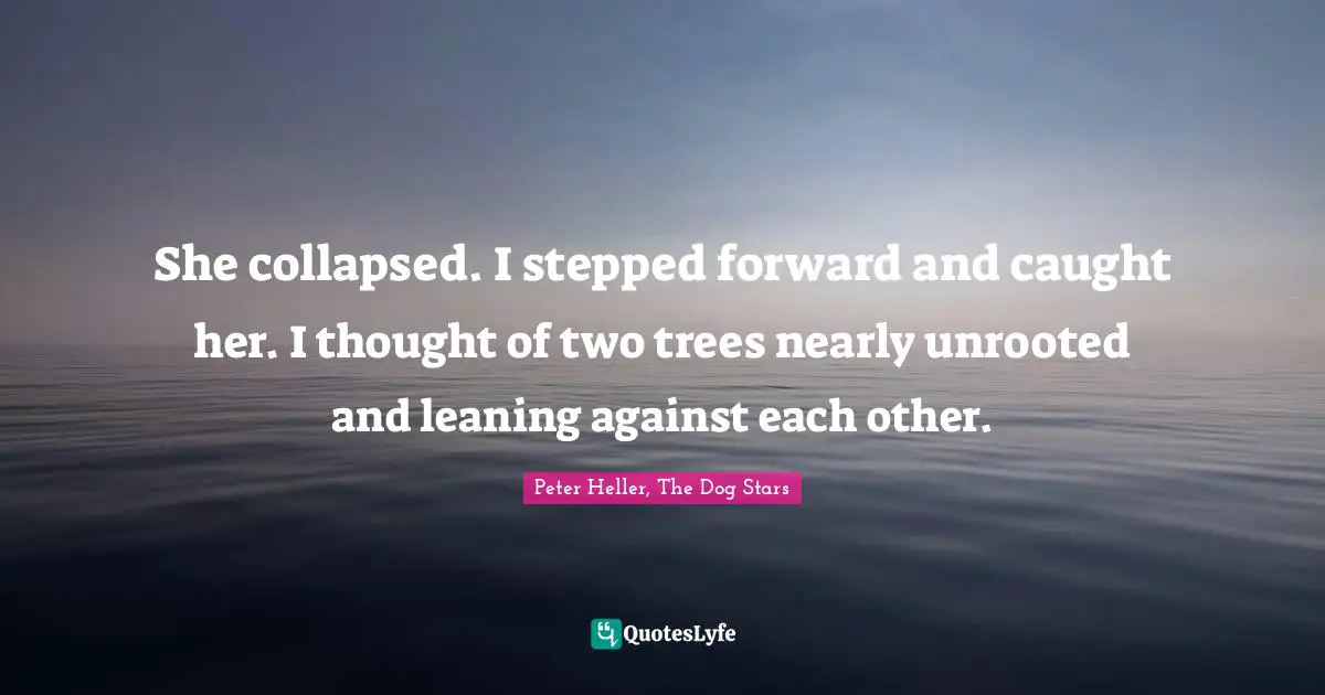 She collapsed. I stepped forward and caught her. I thought of two trees nearly unrooted and leaning against each other.