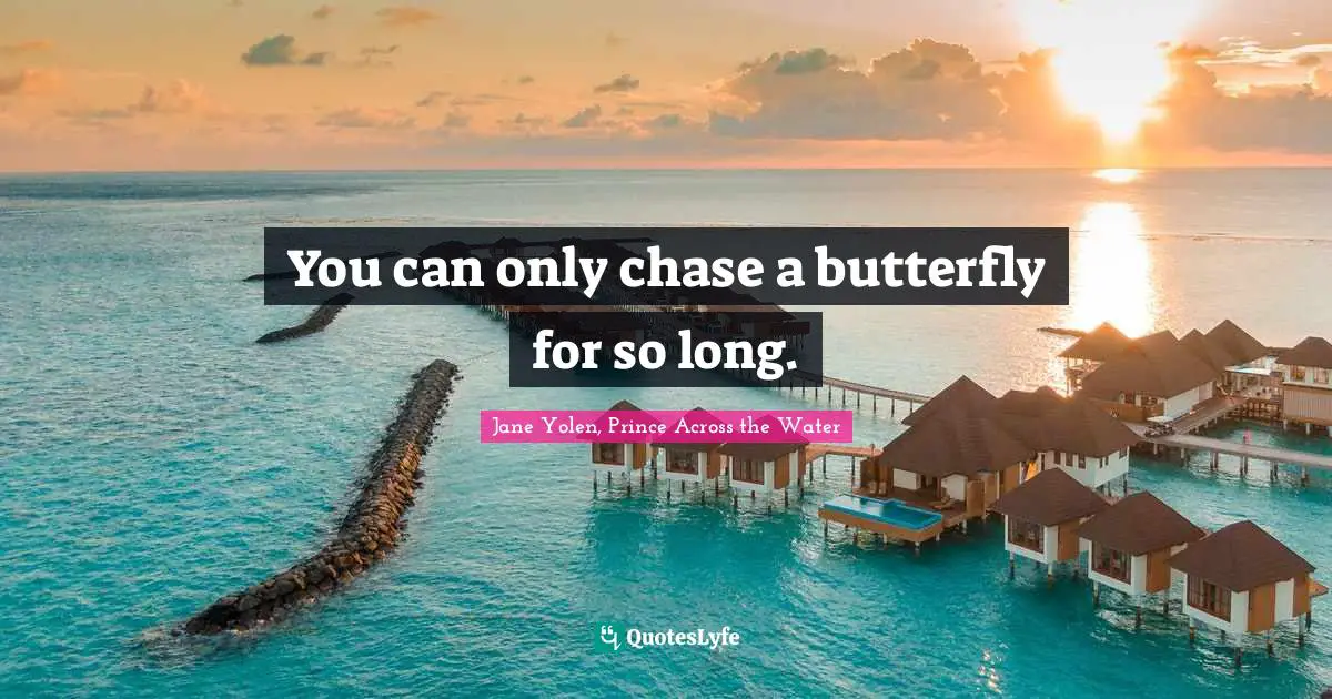 You can only chase a butterfly for so long.