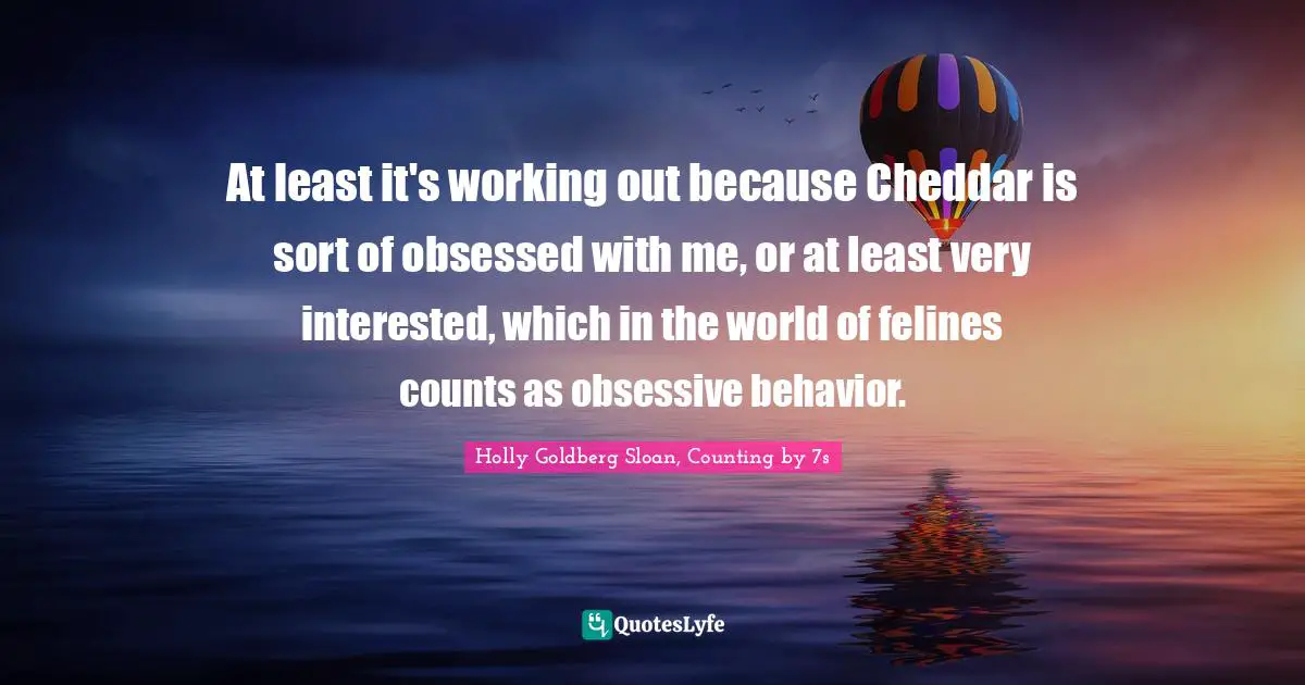At least it's working out because Cheddar is sort of obsessed with me, or at least very interested, which in the world of felines counts as obsessive behavior.