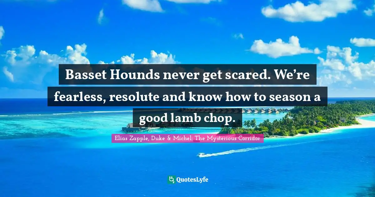 Basset Hounds never get scared. We’re fearless, resolute and know how to season a good lamb chop.