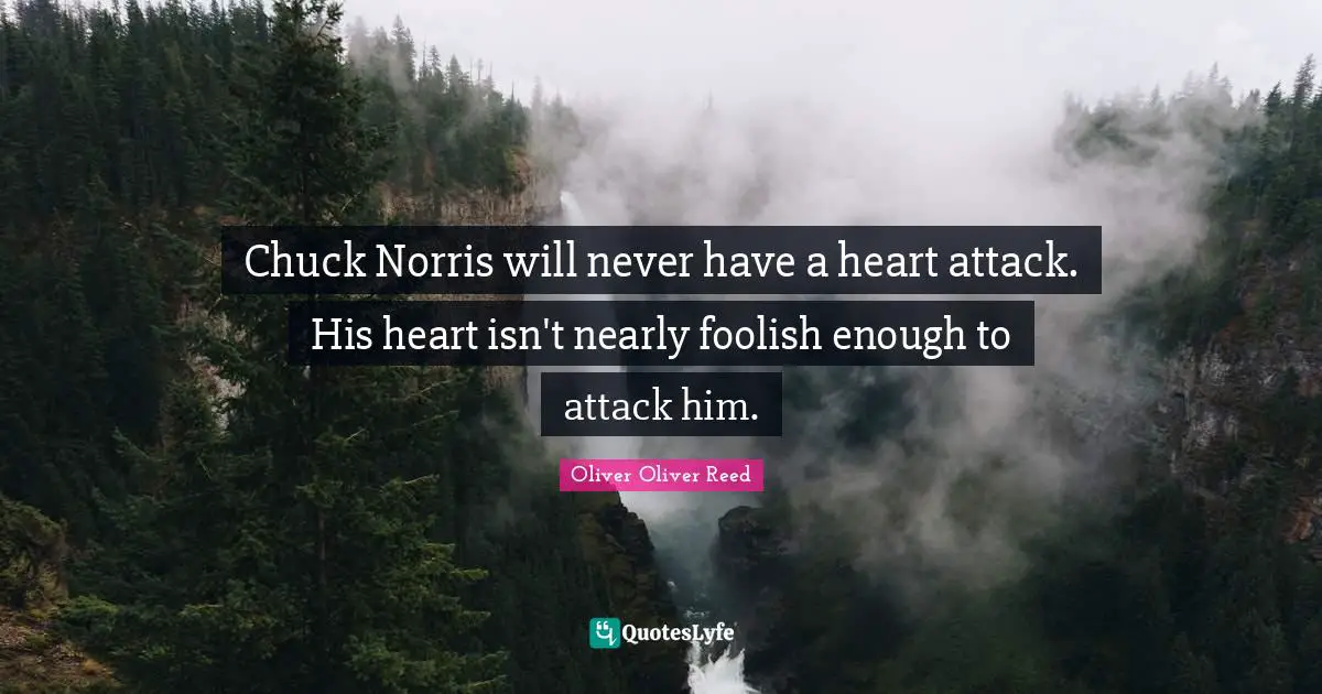 Funniest Jokes Quotes: "Chuck Norris will never have a heart attack. His heart isn't nearly foolish enough to attack him."