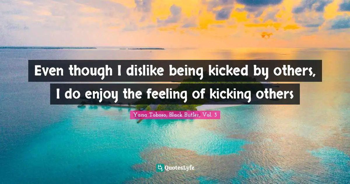 Even though I dislike being kicked by others, I do enjoy the feeling of kicking others