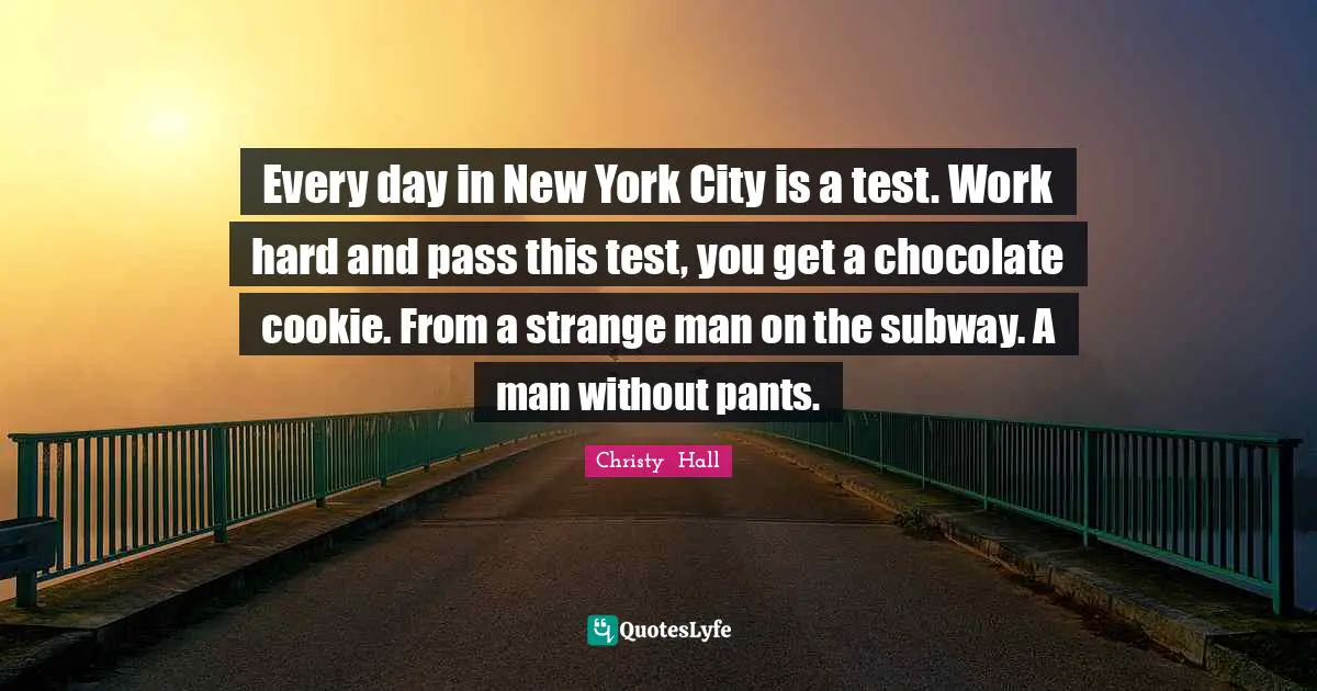 Every day in New York City is a test. Work hard and pass this test, you get a chocolate cookie. From a strange man on the subway. A man without pants.