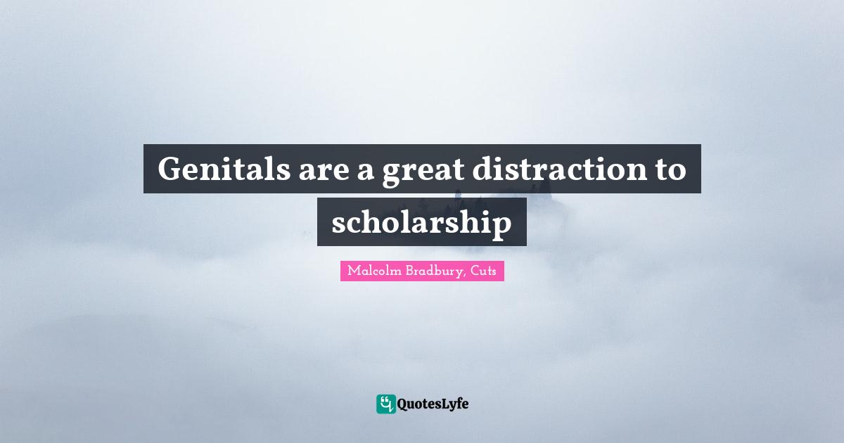 Genitals are a great distraction to scholarship