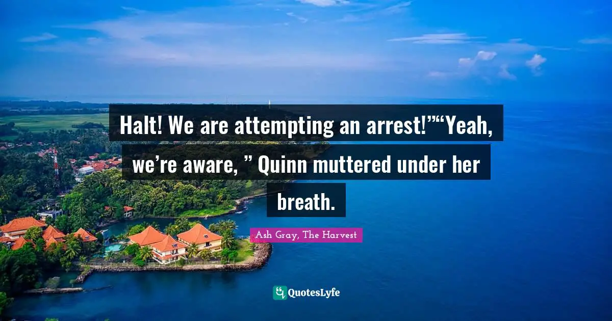 Halt! We are attempting an arrest!”“Yeah, we’re aware, ” Quinn muttered under her breath.