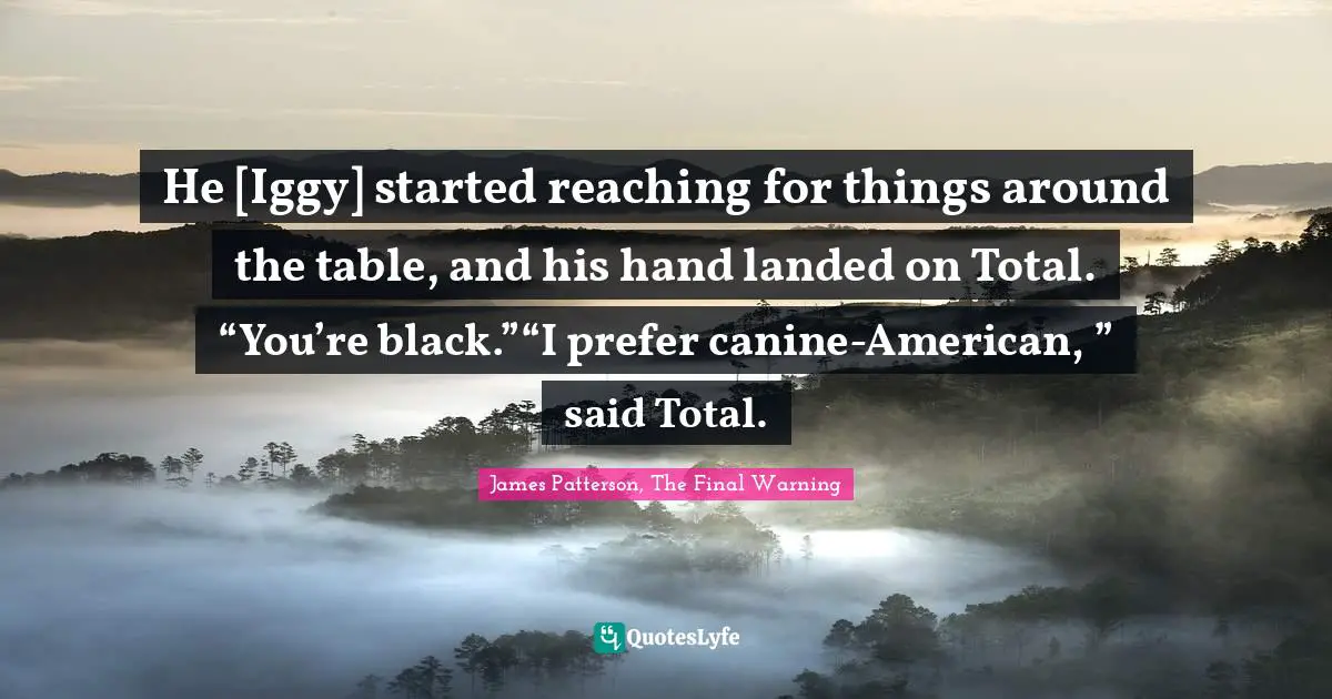 He [Iggy] started reaching for things around the table, and his hand landed on Total. “You’re black.”“I prefer canine-American, ” said Total.