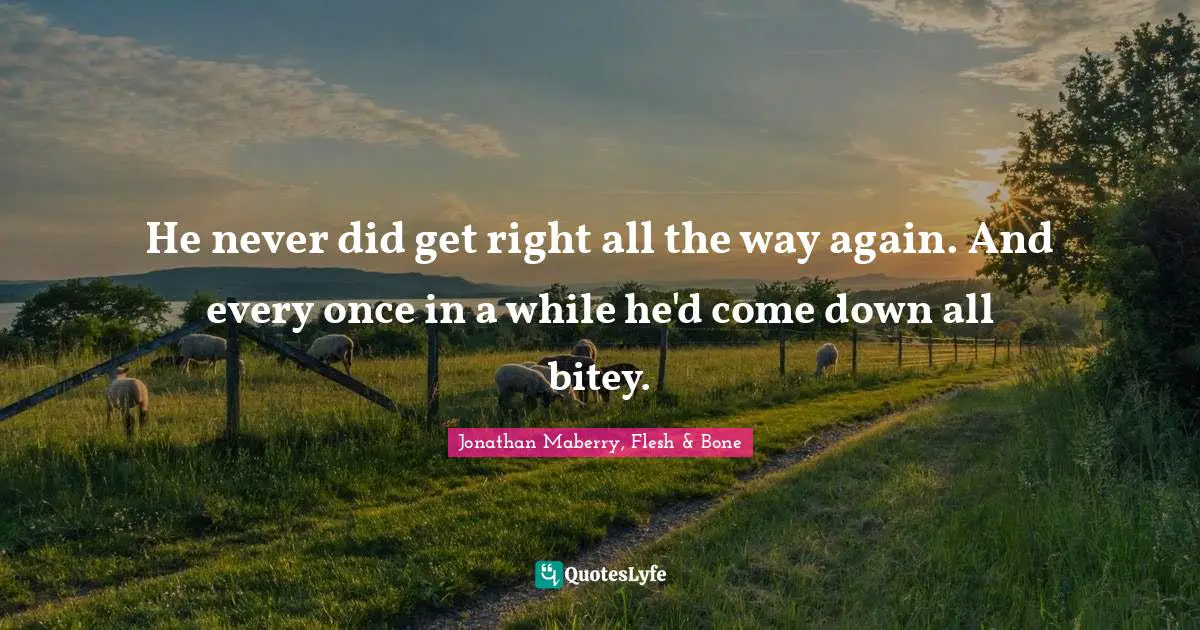He never did get right all the way again. And every once in a while he'd come down all bitey.