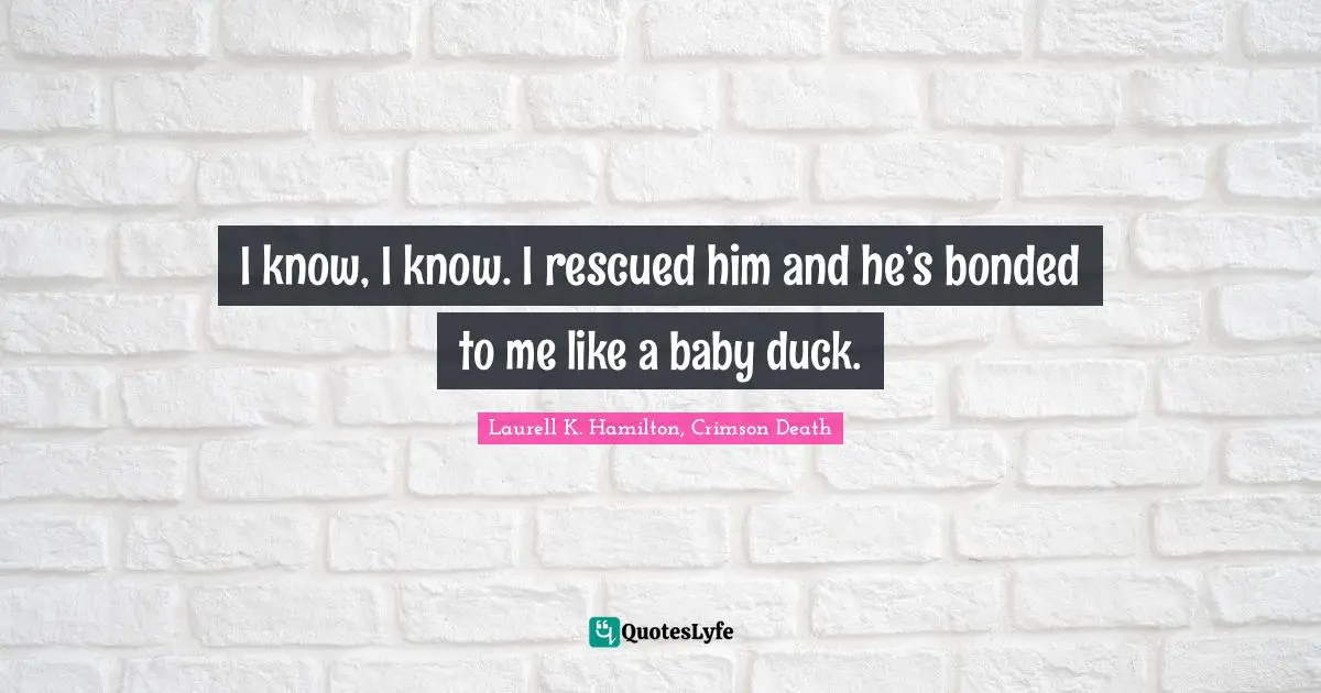 I know, I know. I rescued him and he’s bonded to me like a baby duck.