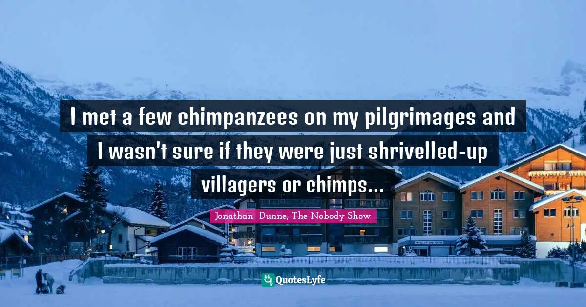 I met a few chimpanzees on my pilgrimages and I wasn't sure if they were just shrivelled-up villagers or chimps...