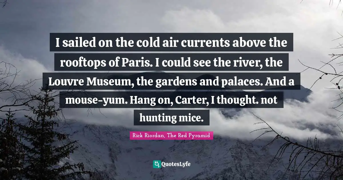 I sailed on the cold air currents above the rooftops of Paris. I could see the river, the Louvre Museum, the gardens and palaces. And a mouse-yum. Hang on, Carter, I thought. not hunting mice.