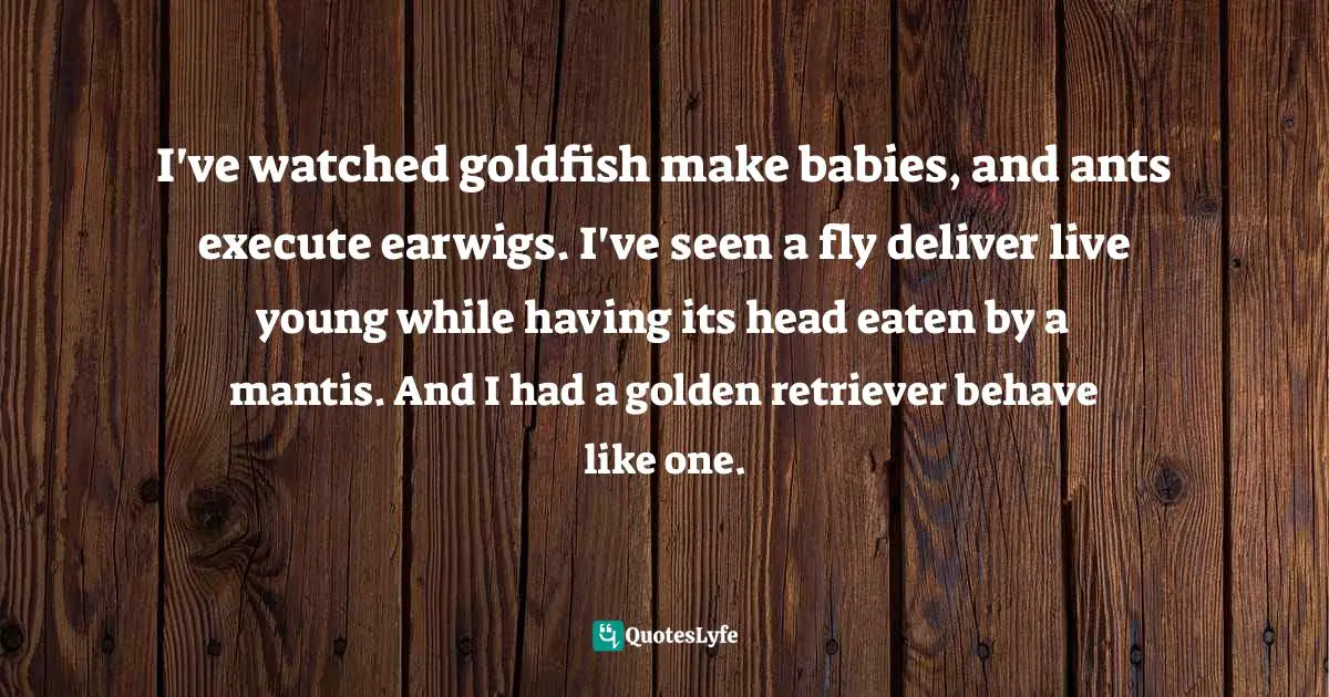 I've watched goldfish make babies, and ants execute earwigs. I've seen a fly deliver live young while having its head eaten by a mantis. And I had a golden retriever behave like one.