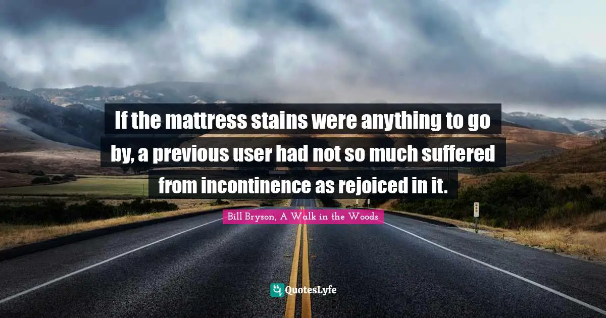 If the mattress stains were anything to go by, a previous user had not so much suffered from incontinence as rejoiced in it.