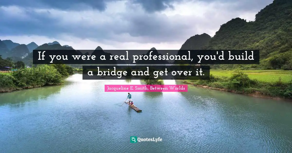If you were a real professional, you'd build a bridge and get over it.