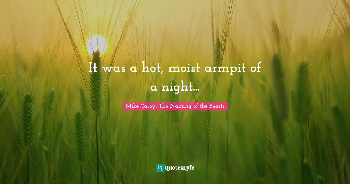 It was a hot, moist armpit of a night...