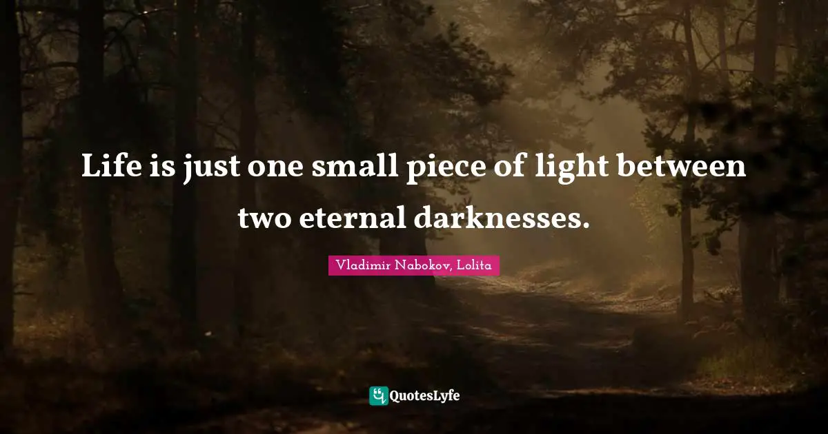 Life is just one small piece of light between two eternal darknesses.