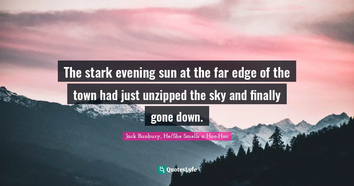 The stark evening sun at the far edge of the town had just unzipped the sky and finally gone down.