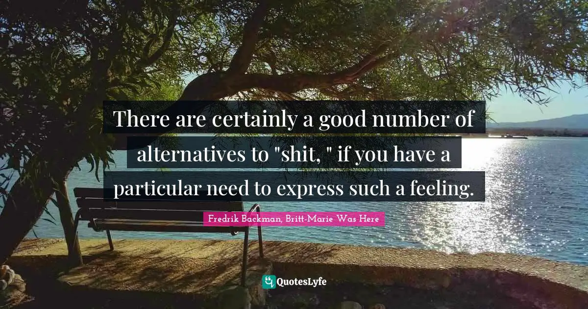 There are certainly a good number of alternatives to "shit, " if you have a particular need to express such a feeling.