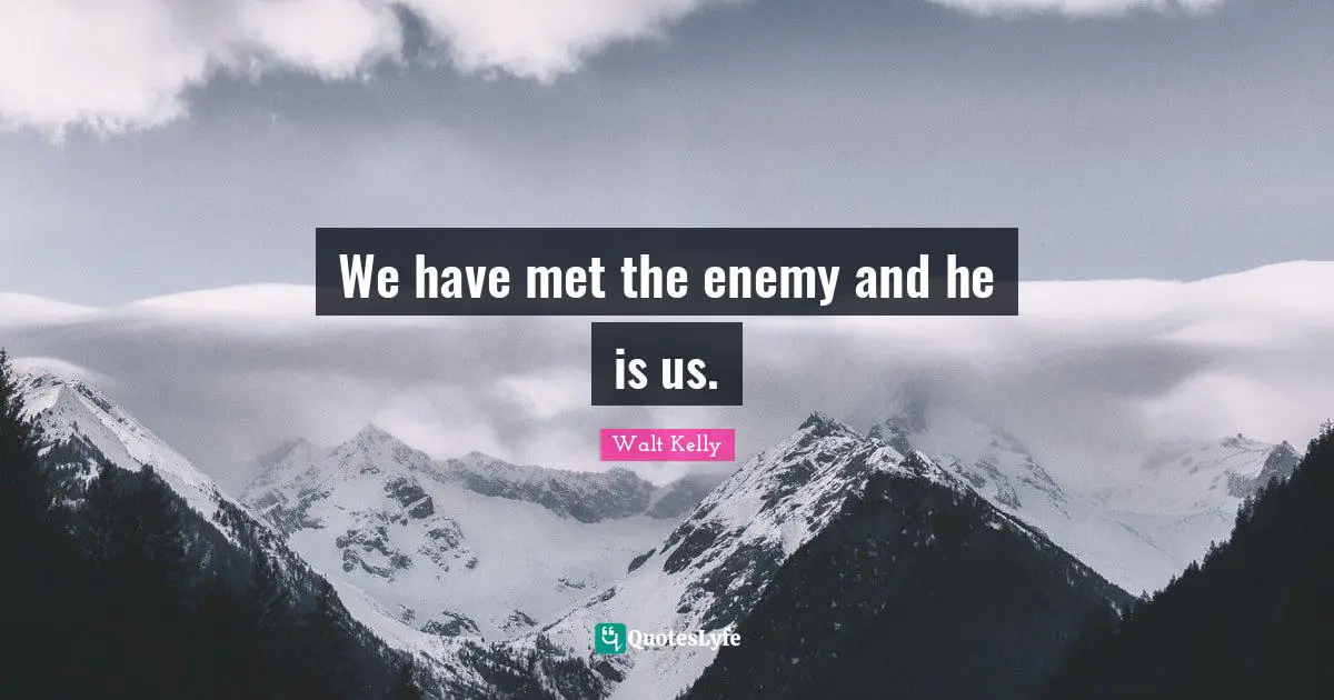 We have met the enemy and he is us.
