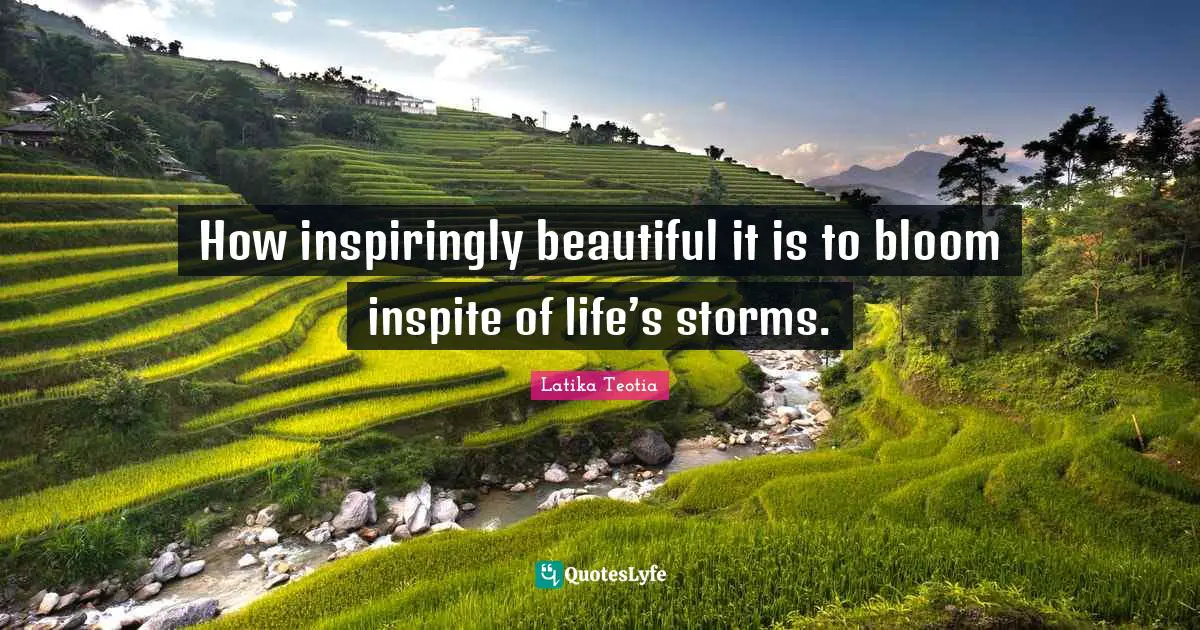 How inspiringly beautiful it is to bloom inspite of life’s storms.