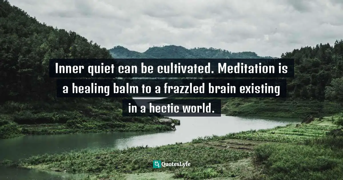 Amy Leigh Mercree, Joyful Living: 101 Ways to Transform Your Spirit and Revitalize Your Life Quotes: Inner quiet can be cultivated. Meditation is a healing balm to a frazzled brain existing in a hectic world.