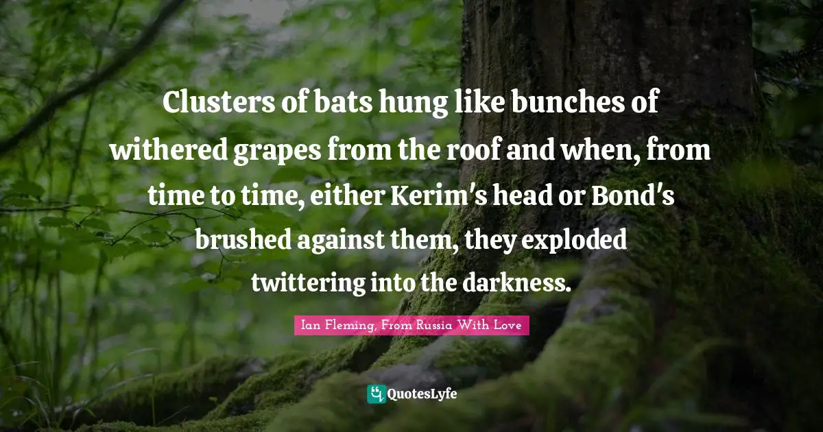 Clusters of bats hung like bunches of withered grapes from the roof and when, from time to time, either Kerim's head or Bond's brushed against them, they exploded twittering into the darkness.
