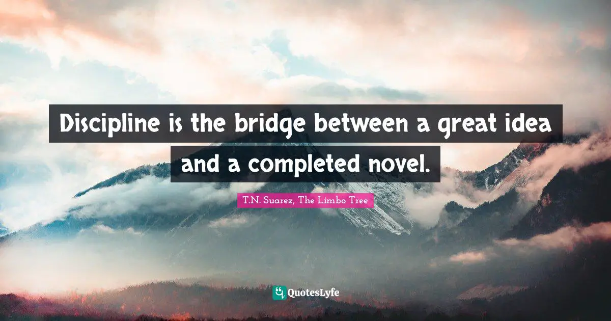 Discipline is the bridge between a great idea and a completed novel.