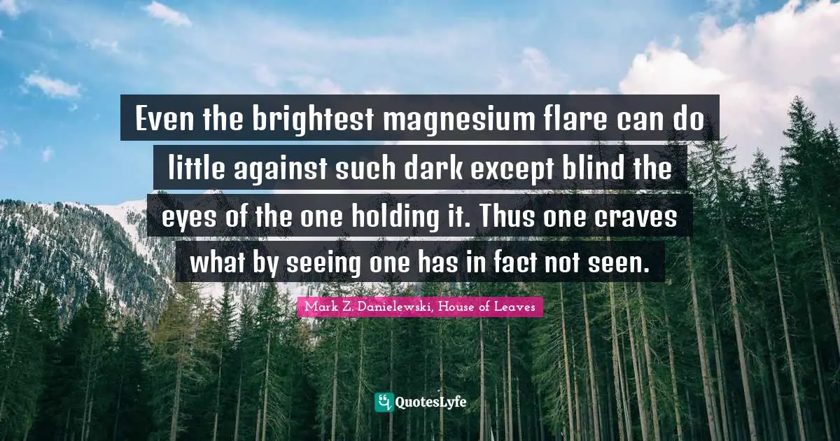Philosophical Reflection Quotes: "Even the brightest magnesium flare can do little against such dark except blind the eyes of the one holding it. Thus one craves what by seeing one has in fact not seen."