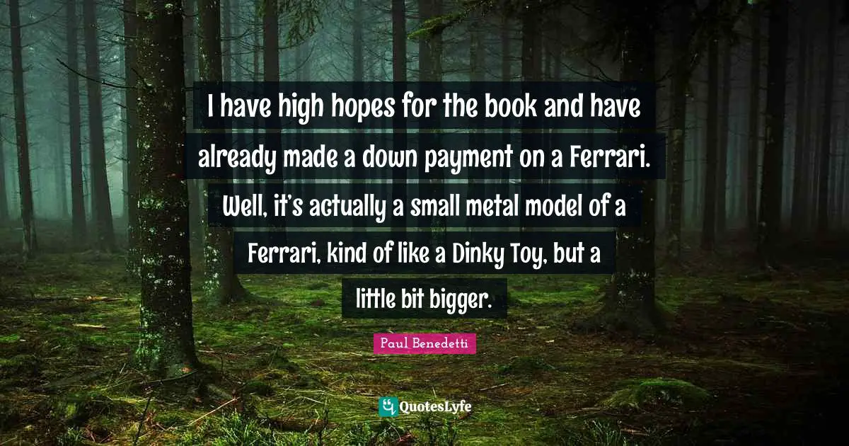 I have high hopes for the book and have already made a down payment on a Ferrari. Well, it’s actually a small metal model of a Ferrari, kind of like a Dinky Toy, but a little bit bigger.