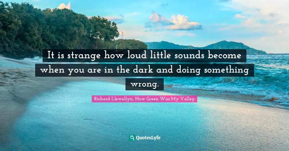 It is strange how loud little sounds become when you are in the dark and doing something wrong.