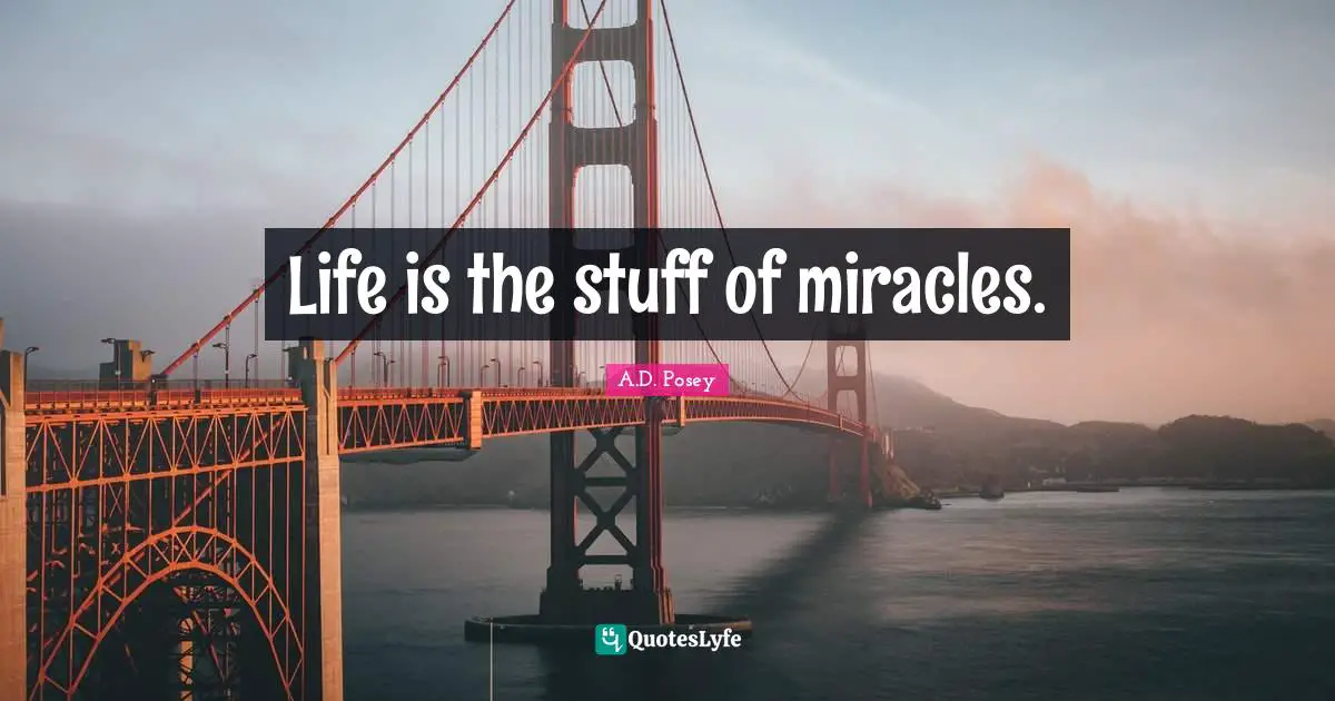 Life is the stuff of miracles.