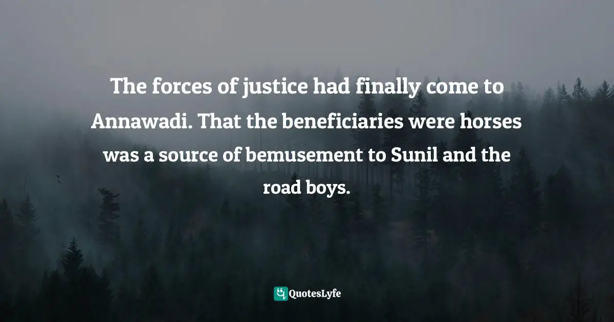 The forces of justice had finally come to Annawadi. That the beneficiaries were horses was a source of bemusement to Sunil and the road boys.