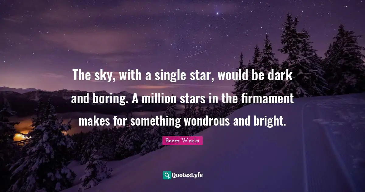 The sky, with a single star, would be dark and boring. A million stars in the firmament makes for something wondrous and bright.
