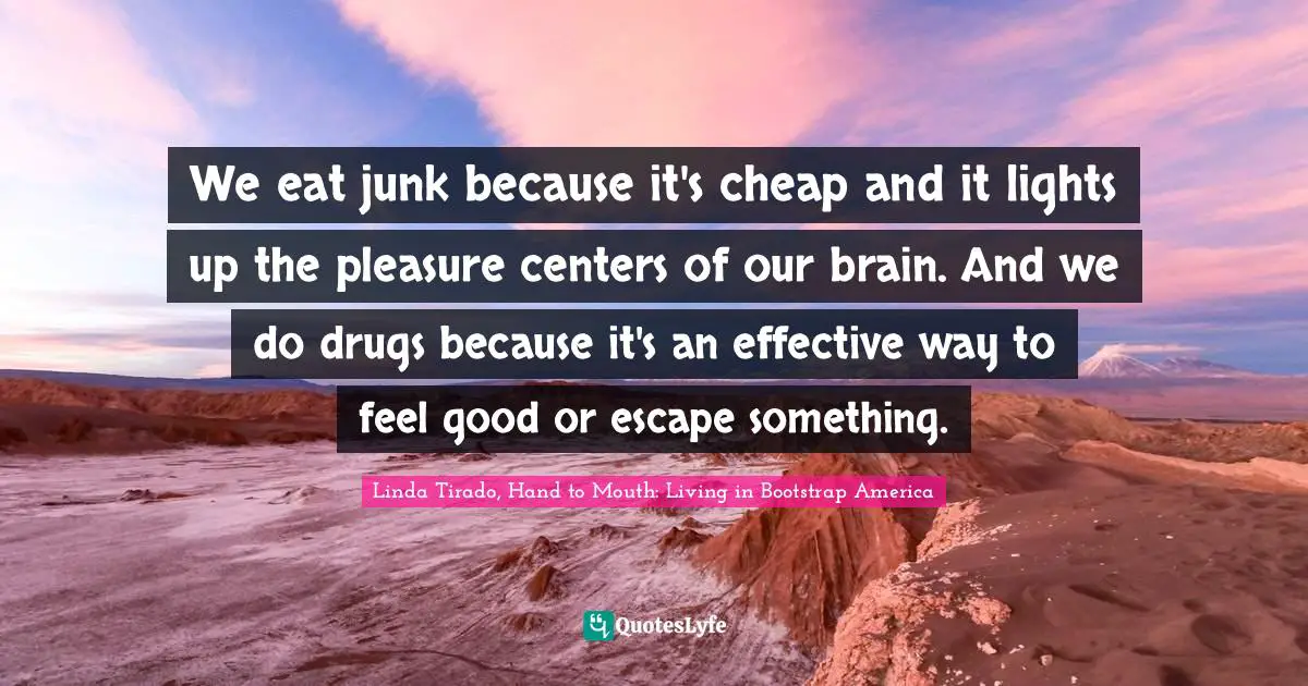 We eat junk because it's cheap and it lights up the pleasure centers of our brain. And we do drugs because it's an effective way to feel good or escape something.