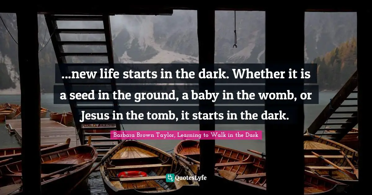 ...new life starts in the dark. Whether it is a seed in the ground, a baby in the womb, or Jesus in the tomb, it starts in the dark.