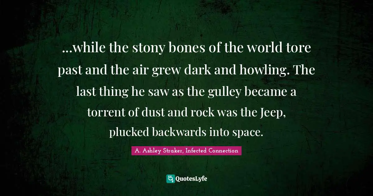 ...while the stony bones of the world tore past and the air grew dark and howling. The last thing he saw as the gulley became a torrent of dust and rock was the Jeep, plucked backwards into space.