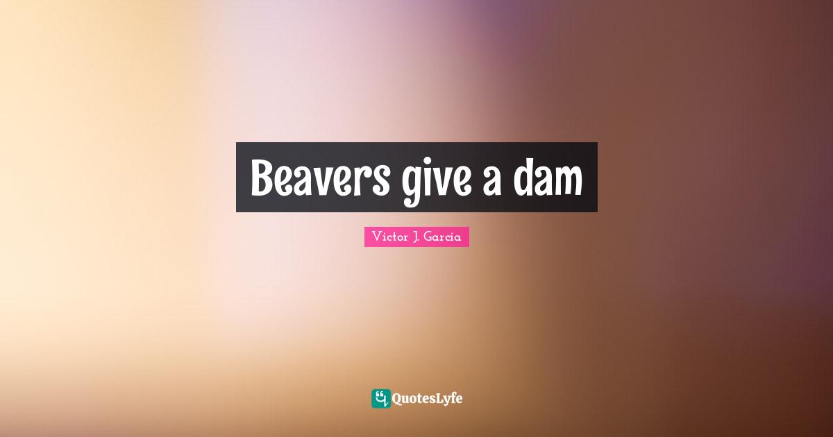 Beavers give a dam
