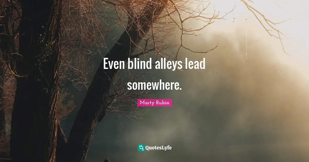 Even blind alleys lead somewhere.