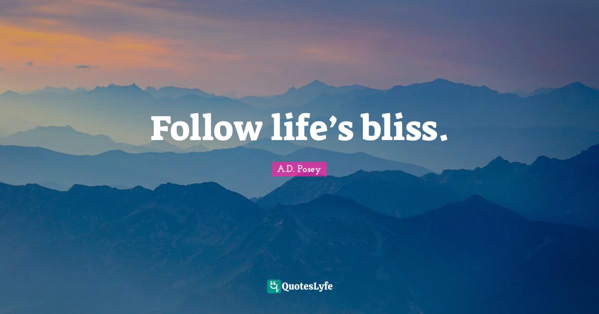 Follow life’s bliss.