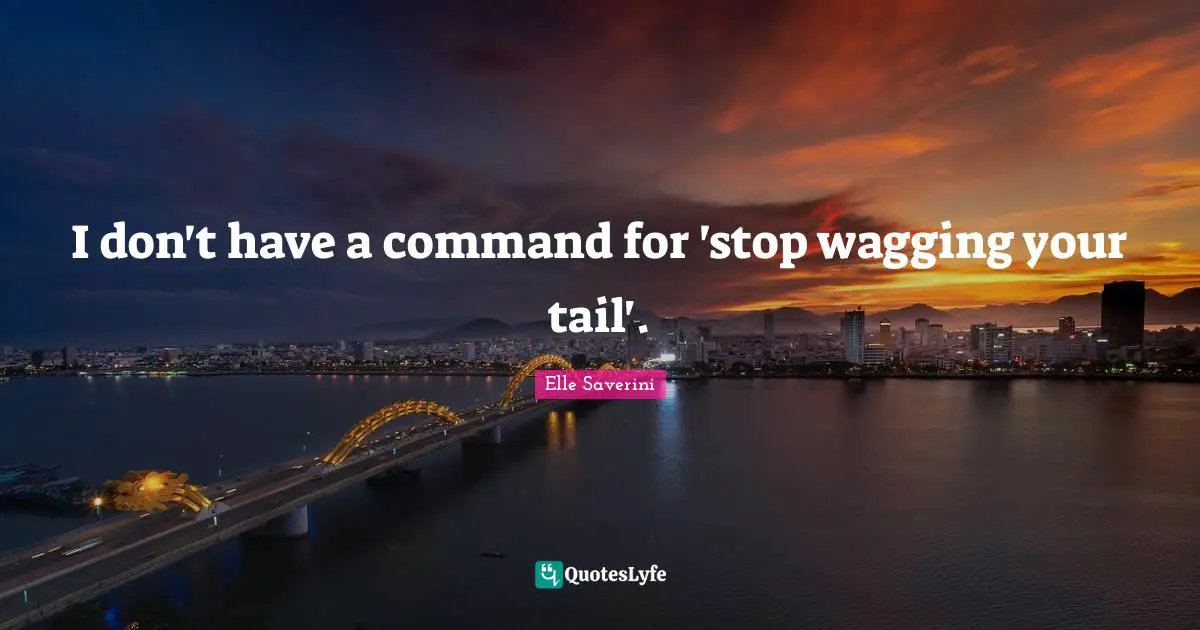 I don't have a command for 'stop wagging your tail'.